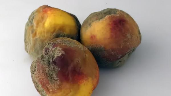 很多病都是“省”出來的?提醒:2個習慣看似省錢,或不利於健康 很多病都是“省”出來的?提醒:2個習慣看似省錢,或不利於健康