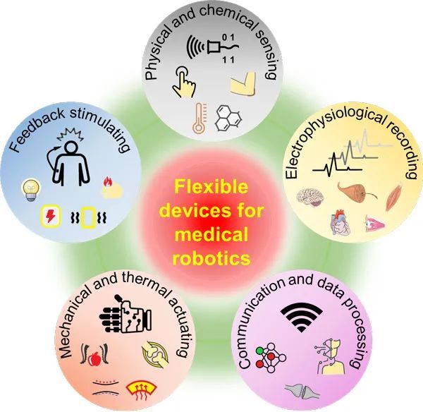 腦科學日報：利用alpha頻率神經調控提高預設網路連線性