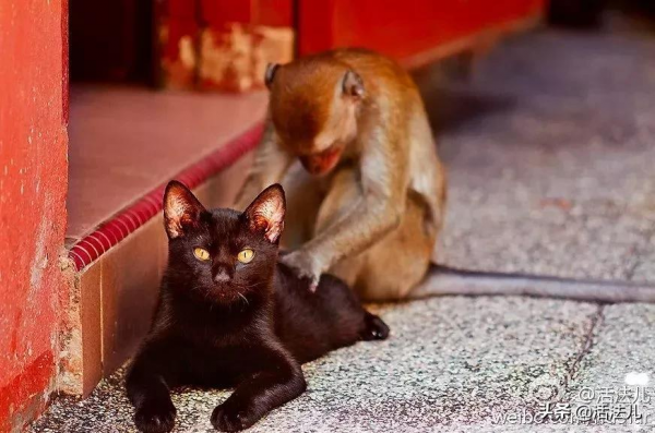 春節期間，用命熬夜的人，記得做好3件事，抓住最後7天的補救時機