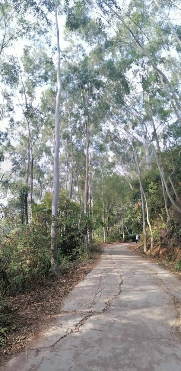 雲彩下的山城系列（九）