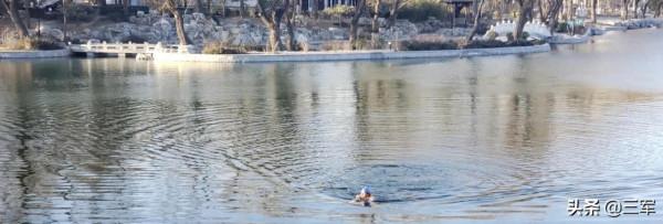 玉淵潭是個好地方：冬看雪春賞櫻夏親水秋觀葉