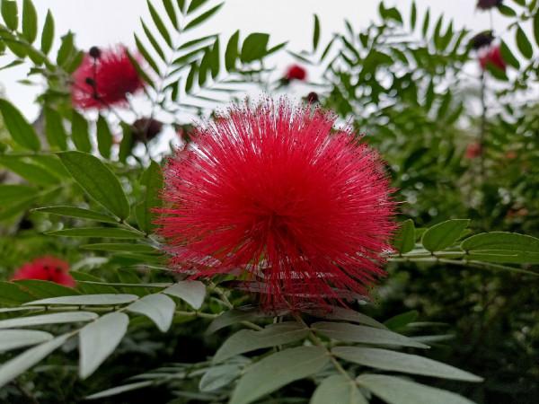 改拉餌釣浮之後，熟悉又陌生的感覺紛紛來襲