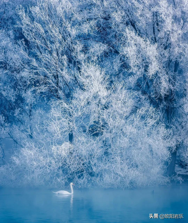 這20個地方藏著中國最美的冬天，2021最後一個月，錯過再等一年