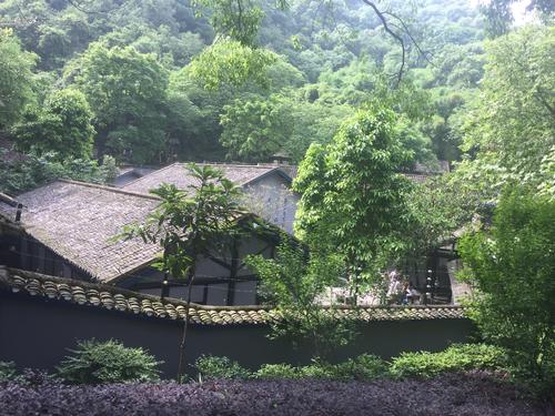 1949年,渣滓洞大屠殺,掃射未死她跳進尿池,卻成唯一倖存女戰士 1949年,渣滓洞大屠殺,掃射未死她跳進尿池,卻成唯一倖存女戰士