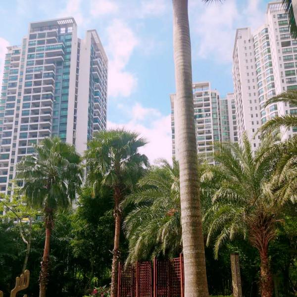 3萬一平米的縣城房價，讓年輕人住山裡？