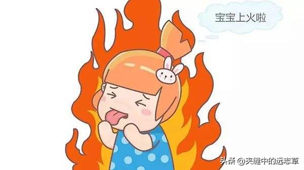 實火當瀉，送你一味梔子，善清三焦之火，不來了解下嗎