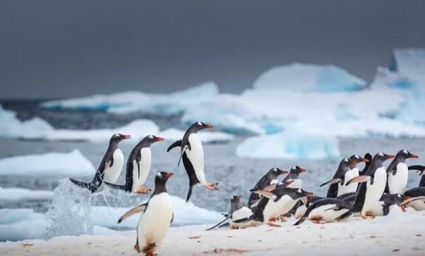 大揭秘：國家足球隊進入世界盃，只需5步