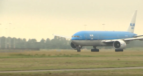 什麼腦洞？荷蘭一機場為了防止飛機撞鳥，請了20頭豬來幫忙