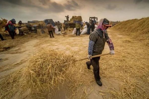 新農村建設或許會造成巨大的浪費,合村並居才是出路 新農村建設或許會造成巨大的浪費,合村並居才是出路