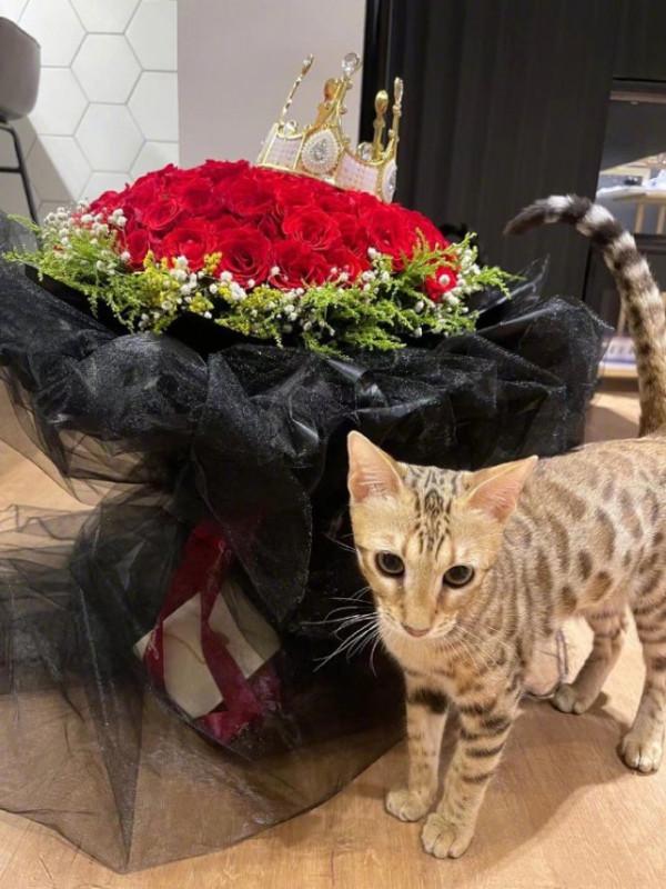 53歲翁虹曬全家福慶生自詡只有35，13歲女兒親自為媽媽做大餐