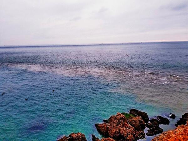 同樣是海水，為什麼黃海和渤海互不相融？感嘆大自然的鬼斧神工