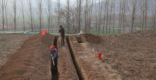 襄陽“山藥大王”鄒濤:靠山藥一年賣出4億元,帶2500戶鄉親致富 襄陽“山藥大王”鄒濤:靠山藥一年賣出4億元,帶2500戶鄉親致富