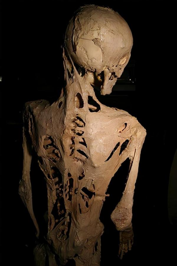 愛因斯坦的大腦、人類最大便便……看了這座博物館，我大開眼界