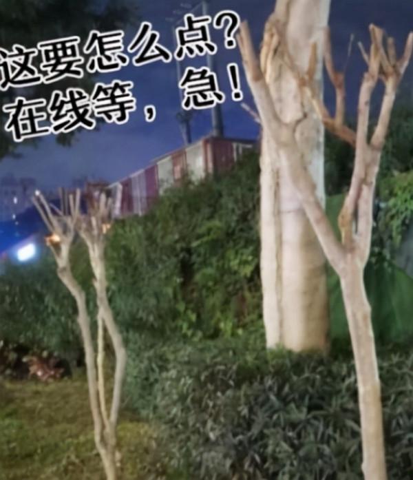 《原神》玩家“犯病”集錦,別去打那群鴿子啦!人均線下後遺症? 《原神》玩家“犯病”集錦,別去打那群鴿子啦!人均線下後遺症?