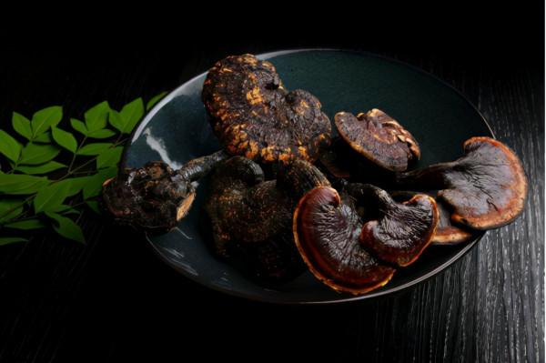 入睡難、失眠？看看中醫藥能否幫到您