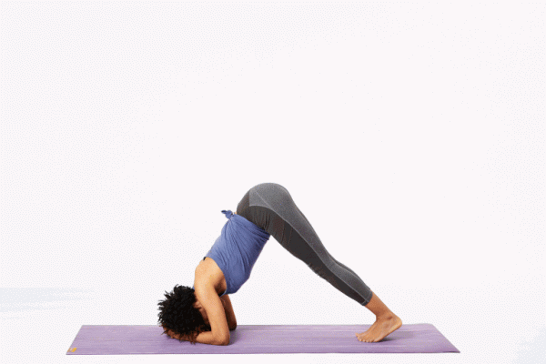 奇怪的瑜伽冷知識：為什麼說頭倒立是體式之王，肩倒立是體式之母