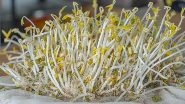 下班晚餐吃什麼？一週食譜已備好，營養均衡又下飯，到家照做就行