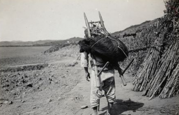 文物專家花1800元，從山東農民家買2捆柴火，如今成國寶禁止出境