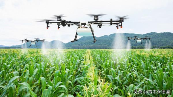 德媒:世界上最富有的10個農民,5個來自中國,擁有共同致富密碼 德媒:世界上最富有的10個農民,5個來自中國,擁有共同致富密碼