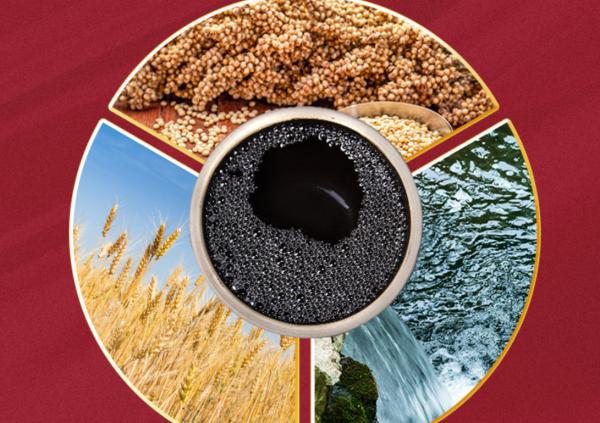 3種常見的“廉價白酒”,原來都是糧食釀造的好酒,口感好值得買 3種常見的“廉價白酒”,原來都是糧食釀造的好酒,口感好值得買