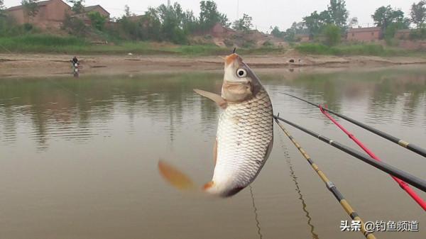 秋釣遛邊魚,這五種釣位最出魚 秋釣遛邊魚,這五種釣位最出魚