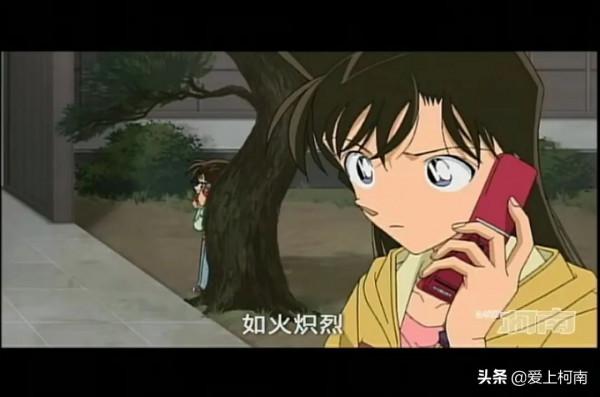 名偵探柯南:其速度疾如風 名偵探柯南:其速度疾如風