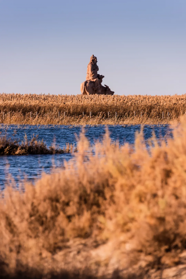 毫無懸念!今年最美的國內秋天,果然還是額濟納 毫無懸念!今年最美的國內秋天,果然還是額濟納