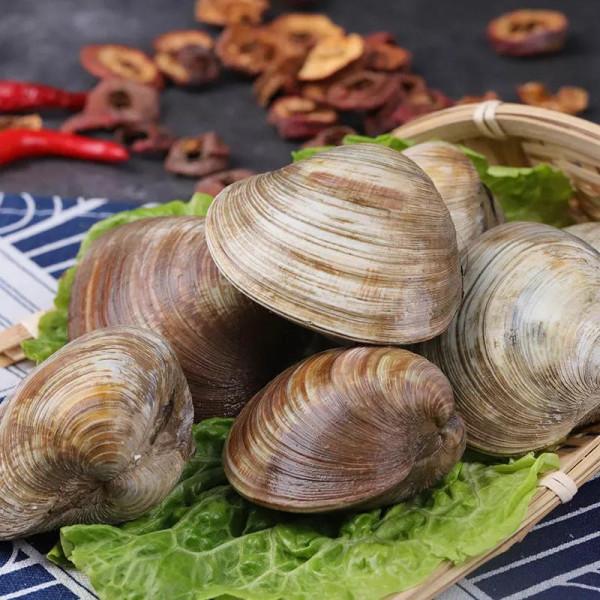 入冬後記得給孩子吃7種食物，鋅含量高，常吃有助於提高免疫力