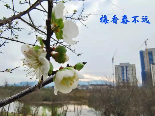 朋友圈2021年第31期