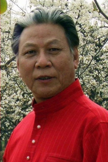 《大決戰》有人主張不寫林彪，楊尚昆：東北戰場的仗誰打的？