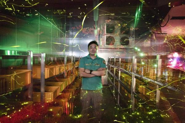 一年的等待僅僅十天的閃耀,來自韓國的螢火蟲守護者 一年的等待僅僅十天的閃耀,來自韓國的螢火蟲守護者