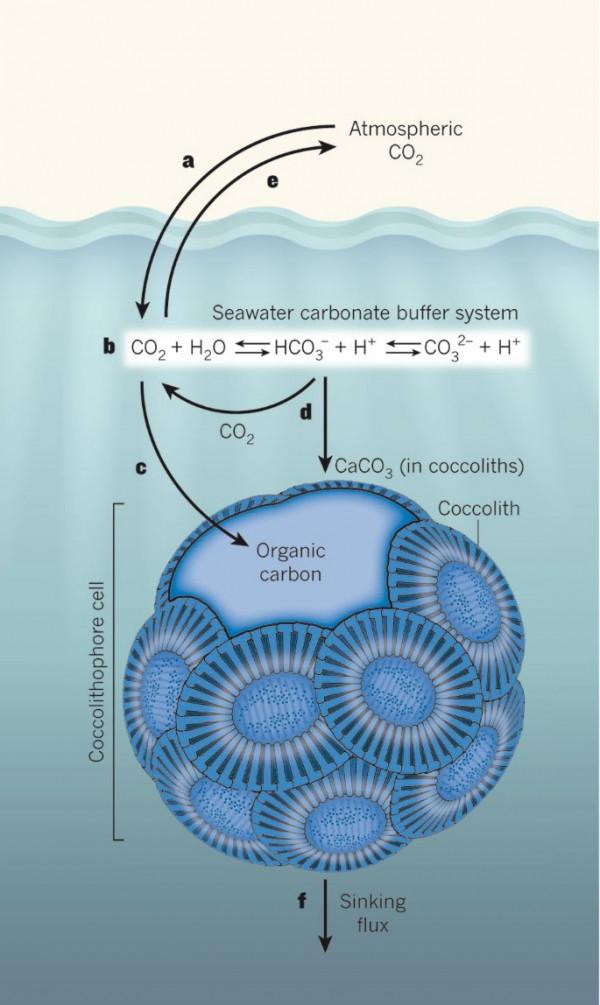 地球神奇的火與火之歌,什麼推動了地球幾億年的冷熱迴圈? 地球神奇的火與火之歌,什麼推動了地球幾億年的冷熱迴圈?