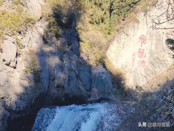 中秋遊新疆 | 去天池 尋找秋天的童話 中秋遊新疆 | 去天池 尋找秋天的童話