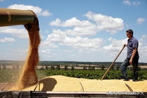 “巴西”現狀，帶你看看真實的巴西