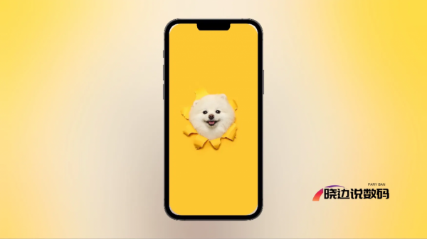 精選高畫質桌布｜可愛寵物狗狗—願您一直擁有狗狗一樣的忠誠