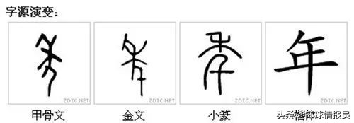 千年傳統說沒就沒，日本為什麼廢除了農曆和春節？
