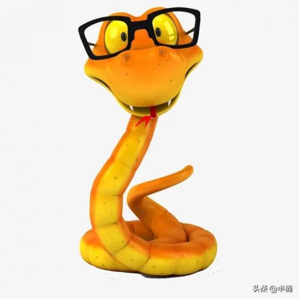 毒蛇咬過的雞更美味?以前流行的“蛇咬雞”,為什麼被叫停了? 毒蛇咬過的雞更美味?以前流行的“蛇咬雞”,為什麼被叫停了?