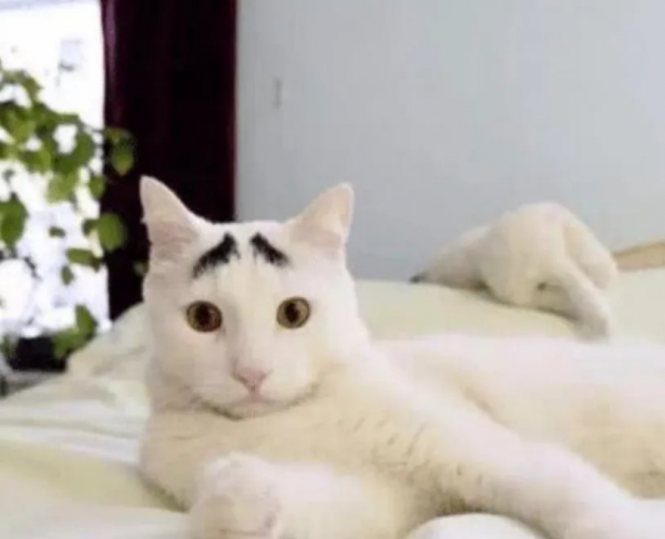 旅遊失敗是一種怎麼樣的體驗？沒有最慘，只有更慘