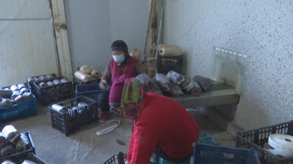 大棚種植，把美好願景“種”出來～