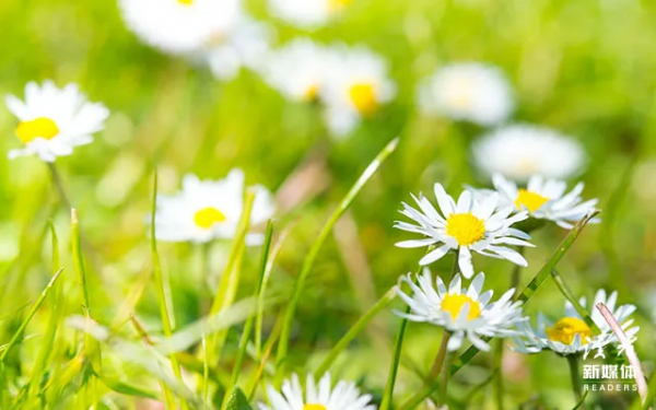 人生的3個階段：閱己，越己，悅己