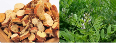 堪稱美白黃金的光甘草定真有那麼牛嗎 堪稱美白黃金的光甘草定真有那麼牛嗎