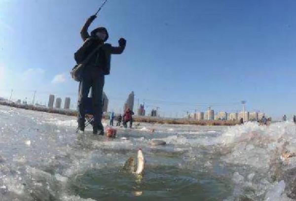 早春釣魚，臺釣商品餌“好用”？傳統釣連竿爆護，你卻還在苦等