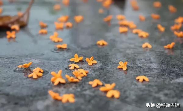 你可知中秋有用香的習俗? 你可知中秋有用香的習俗?