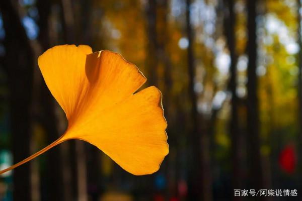 後半輩子，與其自擾，不如順其自然