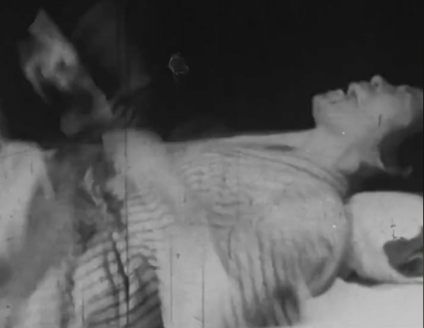 幾萬只貓排隊跳海自盡，連人類也不能倖免，喪屍真的存在嗎？