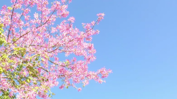 適合中老年人過冬的8個旅行地,給自己一份不老的底氣,出發吧 適合中老年人過冬的8個旅行地,給自己一份不老的底氣,出發吧