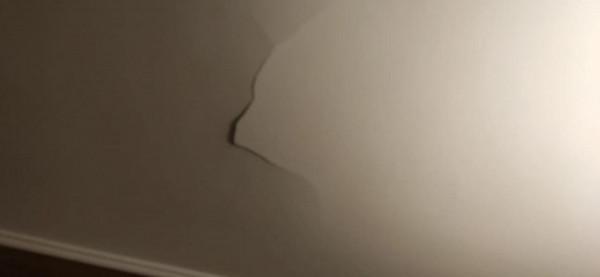 客廳天花板裂縫掉皮，求助