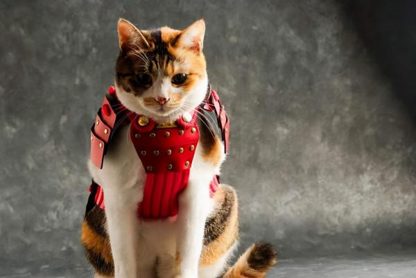 日本：政經博弈新動向會導致中日關係更加“偏航”麼？