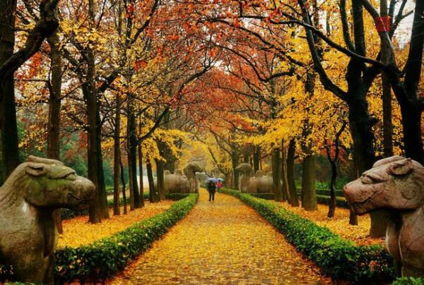 江蘇國慶旅遊景點推薦 明孝陵旅遊攻略 低音號免費語音導遊 江蘇國慶旅遊景點推薦 明孝陵旅遊攻略 低音號免費語音導遊