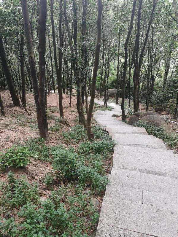 公元某年某月某日某山半日遊